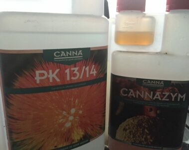 dwarsstraat vlaardingen growshop, growshop vlaardingen