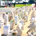 cocaine colombia, grote partij coke colombia, 8000 kilo coke colombia, 8 ton cocaine colombia