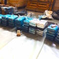 cocaine bananen ecuador, westland cocaine smokkel, westland drugs smokkel