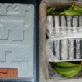 cocaine smokkel colombia, antwerpen coke partij, 1137 kilo cocaine antwerpen, coke onderschept colombia antwerpen