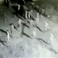 ontsnapping gevangenis video, brazilie monte cristo ontsnapping, brazilie gevangenis video, ontsnapping bajes video