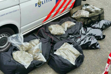 oss goudplevier wiet, oss wiet 60 kilo, goudplevier hennep, hennep oss goudplevier