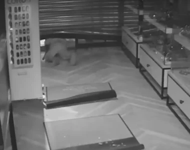 VIDEO: Tweetal gezocht voor dikke buit bij snelkraak met krik op juwelierszaak