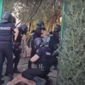 VIDEO: 28 wietplantages met duizenden wietplanten opgerold bij invallen Spaanse politie