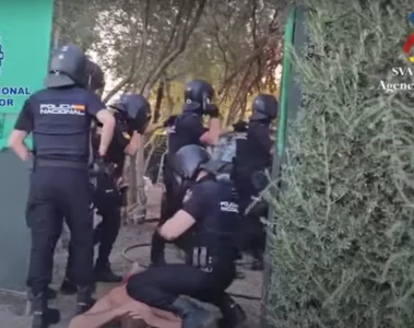 VIDEO: 28 wietplantages met duizenden wietplanten opgerold bij invallen Spaanse politie