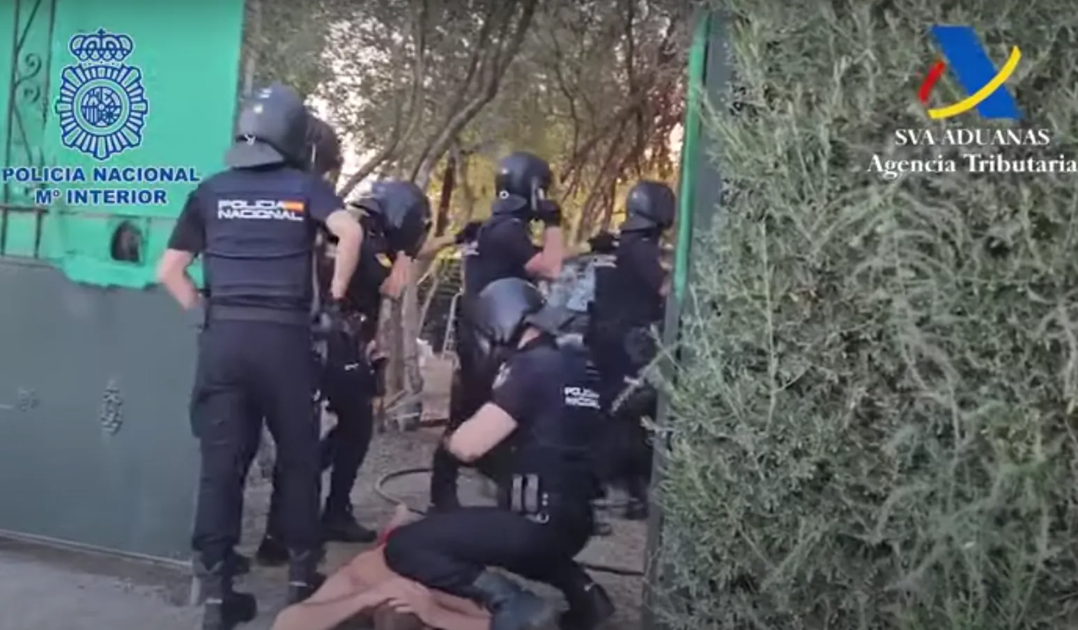 VIDEO: 28 wietplantages met duizenden wietplanten opgerold bij invallen Spaanse politie