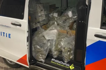 Grote partij toppen wiet gepakt bij actie, politie zegt sorry voor alle stank