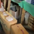 VIDEO: Man met uitkering gepakt met meer dan miljoen euro aan cocaïne en hasj