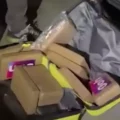 VIDEO: 10.000 kilo cocaïne, heroïne, hasj en wiet plus miljoenen euro's cash gepakt bij grote actie
