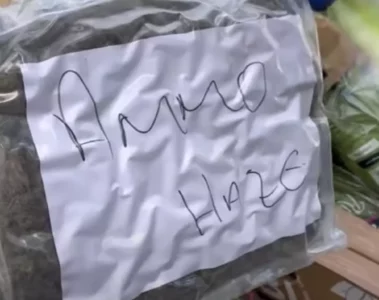VIDEO: Honderden kilo's wiet in beslag na overval op vrachtwagen met drugslading