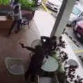 VIDEO: Politiebaas door vier huurmoordenaars geliquideerd in koffieshop