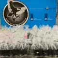 Melding verdacht bootje Westerschelde leidt naar 73,5 miljoen euro aan cocaïne bij Rilland