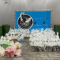 73 miljoen euro aan blokken coke gepakt bij controle Rotterdamse haven