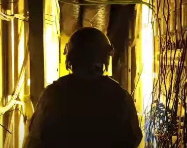 VIDEO: Chinezen gepakt in ondergrondse tunnel bij oprollen MEGA wietplantage met 9000 planten