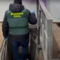 VIDEO: 12.000 wietplanten gepakt in onderzoek professionele grootschalige kweek Spaanse wiet