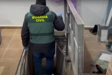 VIDEO: 12.000 wietplanten gepakt in onderzoek professionele grootschalige kweek Spaanse wiet