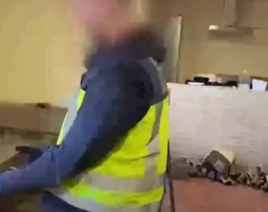 VIDEO: Partijen MDMA, coke, ketamine, wiet en meer in beslag bij oprollen drugslab