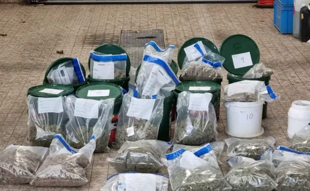 Kilo's wiet en grote sommen contant geld bij inval politie in drugspand