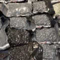 400K aan ‘Cali wiet’ in gesealde pakketten gepakt bij doorzoeking Den Haag na tip