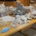 VIDEO: Tientallen miljoenen euro's aan illegale medicijnen in beslag bij grote internationale operatie