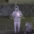 VIDEO: Politie deelt beelden in onderzoek ontvoering, explosies en beschieting regio Rotterdam