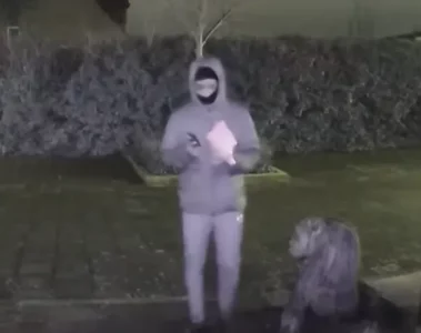 VIDEO: Politie deelt beelden in onderzoek ontvoering, explosies en beschieting regio Rotterdam