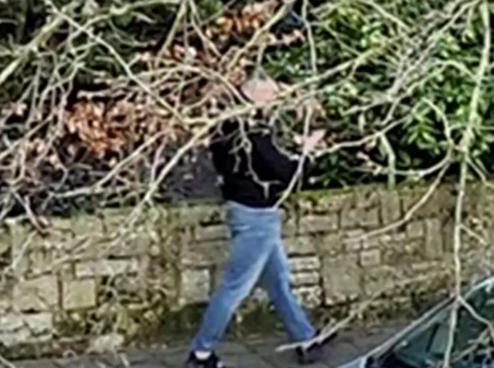 VIDEO: Brede man gezocht voor neerschieten slachtoffer die van vier hoog sprong in Den Haag