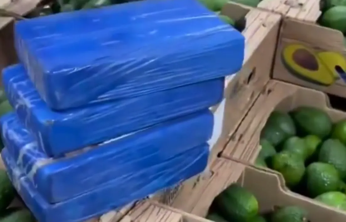 VIDEO: Grote partij cocaïne van ruim 1,7 ton tussen de avocado’s in Colombia