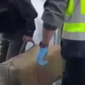 VIDEO: Ruim 1300 kilo hasj, wiet en cocaïne gepakt bij oprollen Go Fast drugssmokkelaars