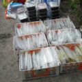 peuter drugssmokkel vught, pi vught drugs, vught gevangenis kind drugs
