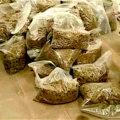 haspengouw wiet maastricht, 55 kilo wiet maastricht, hennep haspengouw maastricht