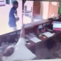 huurmoord beelden, huurmoordenaar brazilie video