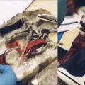 VIDEO: Tientallen gestolen dure horloges en juwelen onderschept bij roversbende