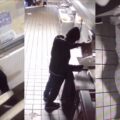 VIDEO: Man breekt in bij fastfoodzaak Taco Bell, maakt eten en doet heerlijk dutje
